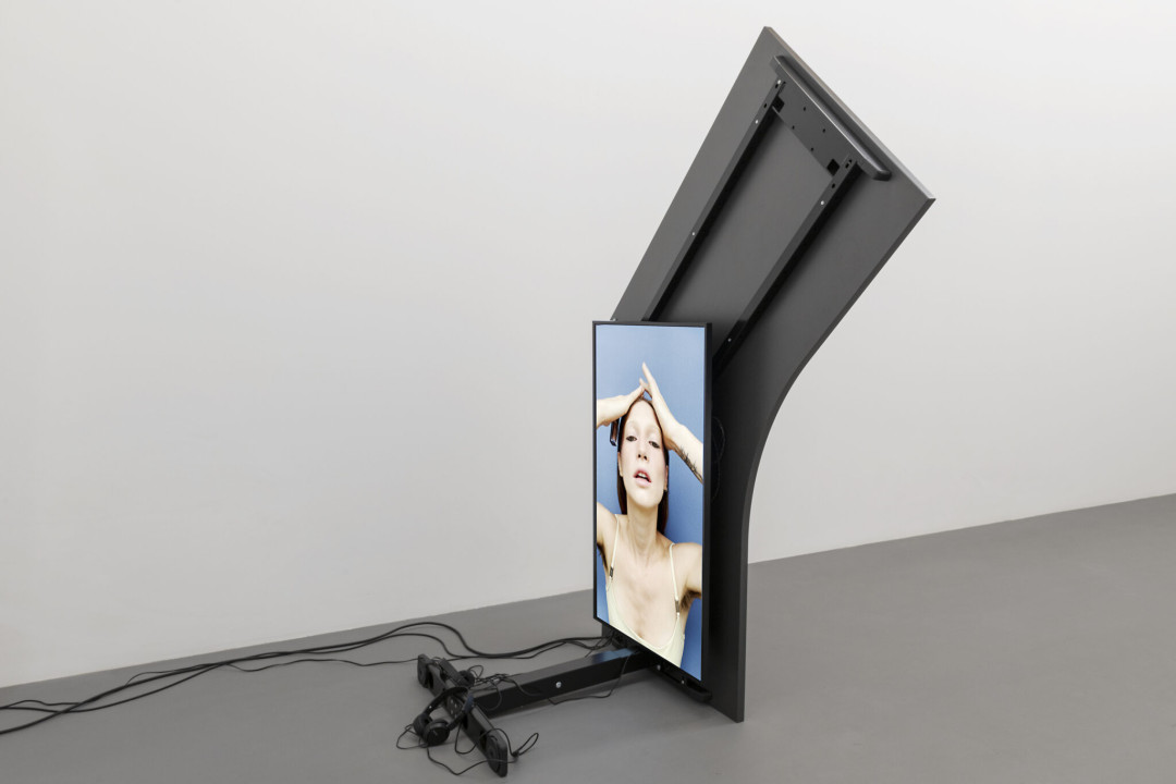 Eva & Franco Mattes: The Bots
